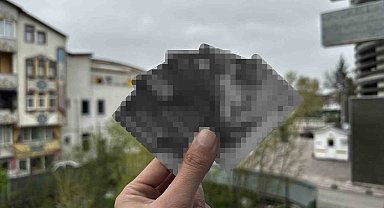 İBAN kullanımında yasa dışı suçlar ve paralar aklandığından büyük cezalar var