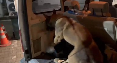 İstanbul'dan Samsun'a uyuşturucu taşıyan şüpheliler Sakarya'da yakalandı