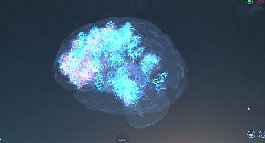 Nöroloji uzmanından uyarı: Dijital şiddet uyarısı: uzmanlardan ailelere kritik çağrı