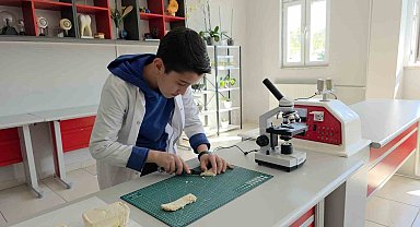 Pirinç kabuklarından yalıtım malzemesi üretti