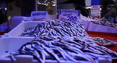 Sakarya'da sezonun son balıkları vatandaşla buluşuyor