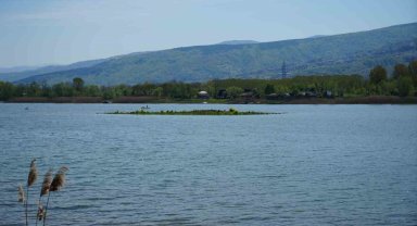 Sapanca Gölü çekildi: Gizemli ada yeniden ortaya çıktı