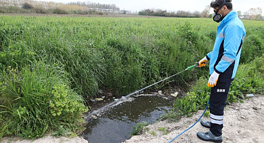 Şehrin Her Noktasında Haşere Alarmı! Büyükşehir Sahada