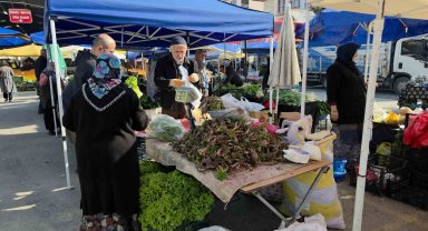 Şifa dağıtan kaldirik otu tezgahlardaki yerini aldı