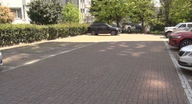 Beylikdüzü'nde başıboş köpekler vatandaşı kovaladı