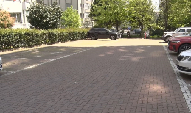Beylikdüzü'nde başıboş köpekler vatandaşı kovaladı