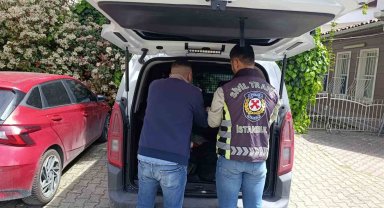 Fatih'te trafikte tartışan sürücüye 180 bin lira ceza