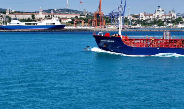 İstanbul Boğazından yunus sürüsüyle Kurban bayramı manzarası