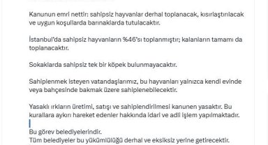İstanbul Valisi Davut Gül: "Sahipsiz hayvanların yüzde 46'sı toplanmıştır; kalanların tamamı da toplanacaktır"