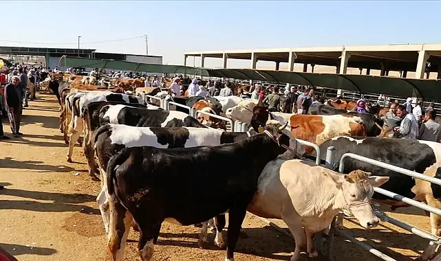 Kurban parasından fazla ceza ödeyebilirsiniz