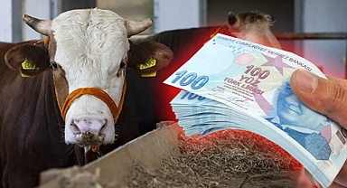 Sahte para tehlikesine dikkat: kurban pazarları için kritik uyarı
