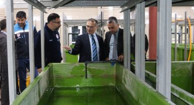 Abant Gölü'ne 100 bin endemik Abant alası bırakıldı