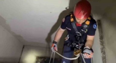 Apartman boşluğuna düşen yavru martı ekiplerce kurtarıldı