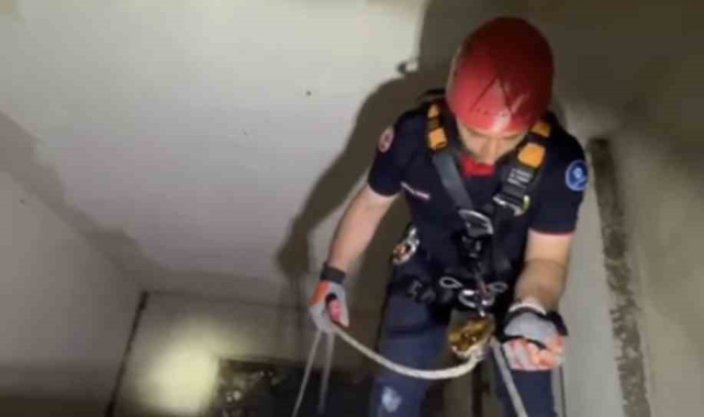 Apartman boşluğuna düşen yavru martı ekiplerce kurtarıldı