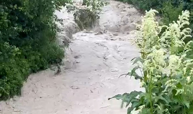 Bolu'da dereler taştı, tarım arazileri sular altında kaldı