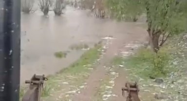 Bolu'da sağanak yağış dereleri taşırdı: Bahçe ve ahırlar sular altında kaldı