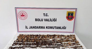 Bolu'da yabani salep toplayan 3 kişiye rekor ceza: 2 milyon 97 bin TL