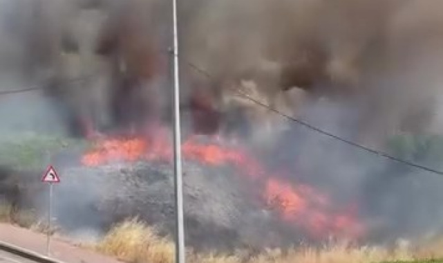 Darıca'da arazide korkutan yangın