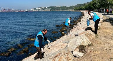 Dilovası'nda Marmara Denizi için sahil temizliği yapıldı
