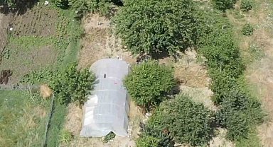 Dron destekli operasyonda seraya gizlenen hint kenevirleri ele geçirildi