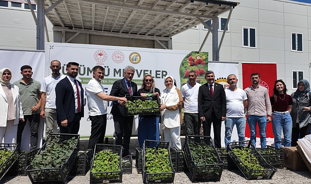 Düzce çiftçisine fide ve damla sulama sistemi desteği