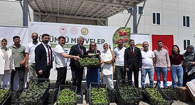 Düzce çiftçisine fide ve damla sulama sistemi desteği