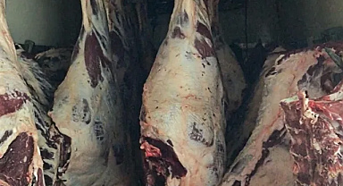 GEYVE'DE GIDA SKANDALI! 1,8 TON BOZUK KARKAS ET ELE GEÇİRİLDİ, TAMAMI İMHA EDİLDİ