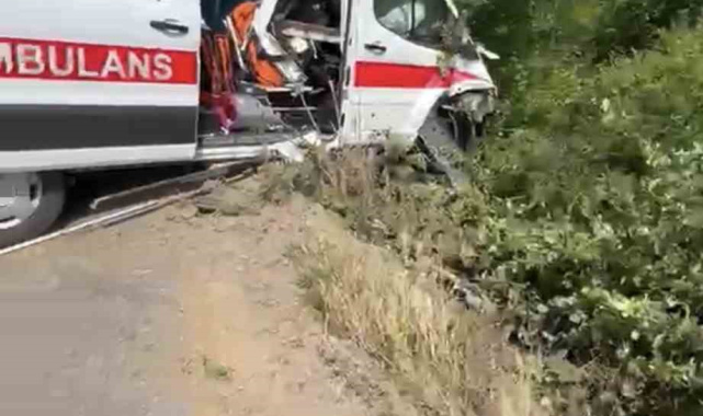Hasta taşıyan ambulans yoldan çıkarak yeşillik alana savruldu
