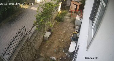 Karganın yumurta hırsızlığı kameraya yansıdı