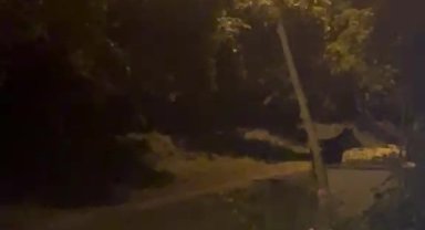 Köye inen ayı köylülere heyecan ve korku yaşattı