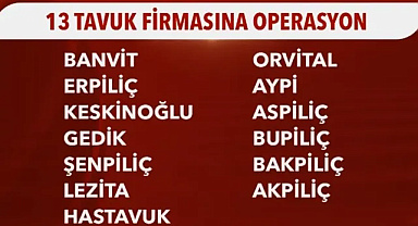 Tavuk Devlerine Operasyon: 13 Şirkete Kayyum, 32 Gözaltı