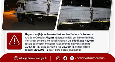 AKYAZI'DA KAÇAK HAYVAN SEVKİYATINA GEÇİT YOK! 230 BİN TL CEZA KESİLDİ
