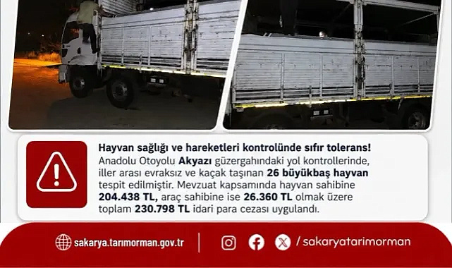 AKYAZI'DA KAÇAK HAYVAN SEVKİYATINA GEÇİT YOK! 230 BİN TL CEZA KESİLDİ