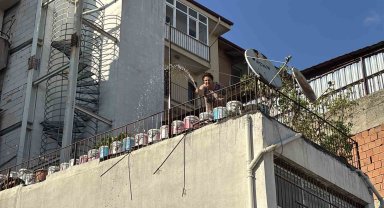 Bolu'da korkutan ot yangını: İtfaiyeyi beklemeden kova ve hortumlarla söndürdüler
