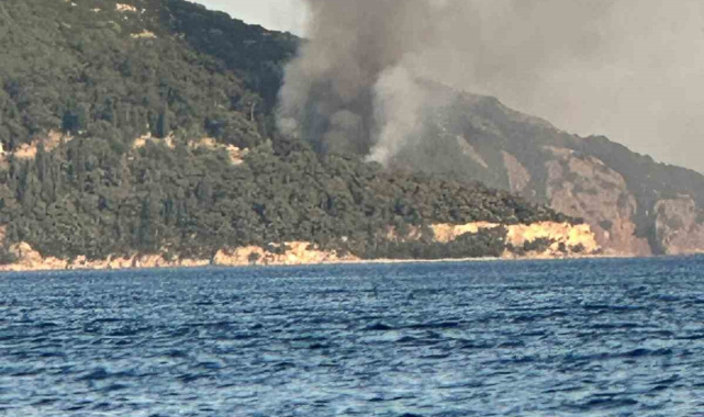 Büyükada'da plajda yangın paniği