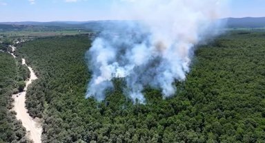 Çatalca Ormanlı'da orman yangını havadan ve karadan müdahaleyle söndürüldü