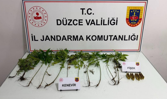 Düzce'de jandarmadan uyuşturucu operasyonu