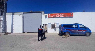 Kocaeli'de aranan 2 hükümlü JASAT operasyonuyla yakalandı