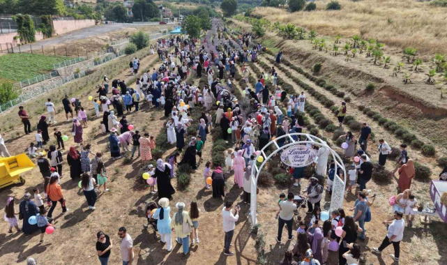 Lavanta kokuları eşliğinde hasat yaptılar