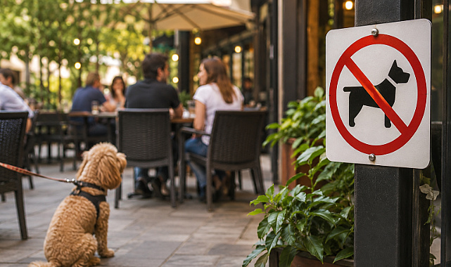 Restoran ve kafelerde evcil hayvan yasağı geliyor! Bahçe ve teraslar da kapsamda