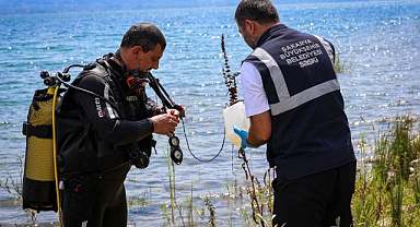 Sapanca Gölü'ndeki algların sırrı çözüldü! Profesör tüm detayları anlattı