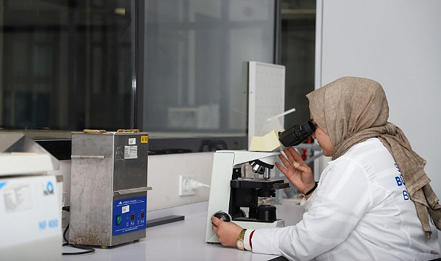 Sapanca Gölü'ndeki algların sırrı çözüldü! Profesör tüm detayları anlattı