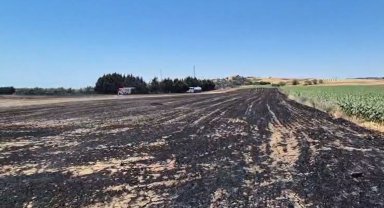 Silivri'de elektrik direği kesimi sırasında yangın: Ekili araziler zarar gördü