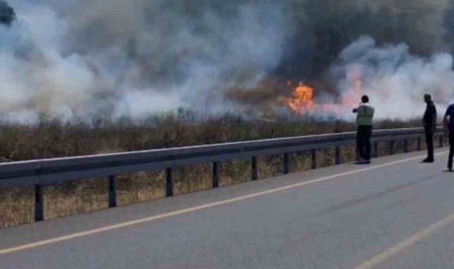 Sultangazi'de otluk alanda çıkan yangın ormana sıçradı