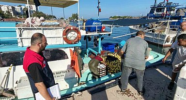 Akçakoca'da balıkçılar sezona hızlı başladı