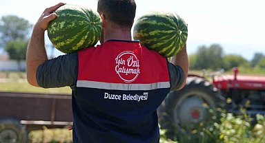 Ata tohumundan üretildi, ihtiyaç sahiplerine ulaştırıldı