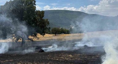 Bolu'da balya makinesinden çıkan kıvılcımlar yangına neden oldu