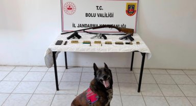 Bolu'da evinde silah ve mühimmat bulunan şüpheli tutuklandı