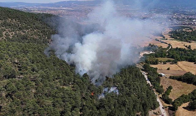 Bolu'da orman yangını başladı