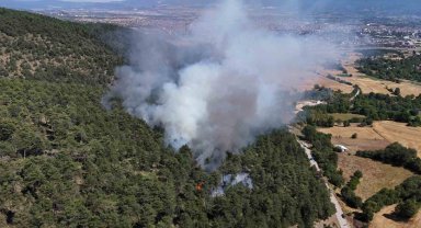 Bolu'daki orman yangını kontrol altına alındı